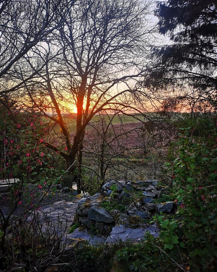 Campsite The Bothy *